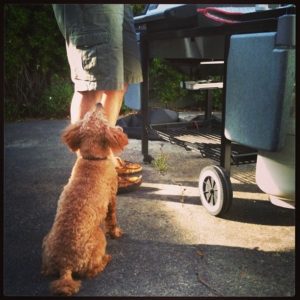 I'm grateful for my husband's grill skill, and so is Rusty.  Good boys!